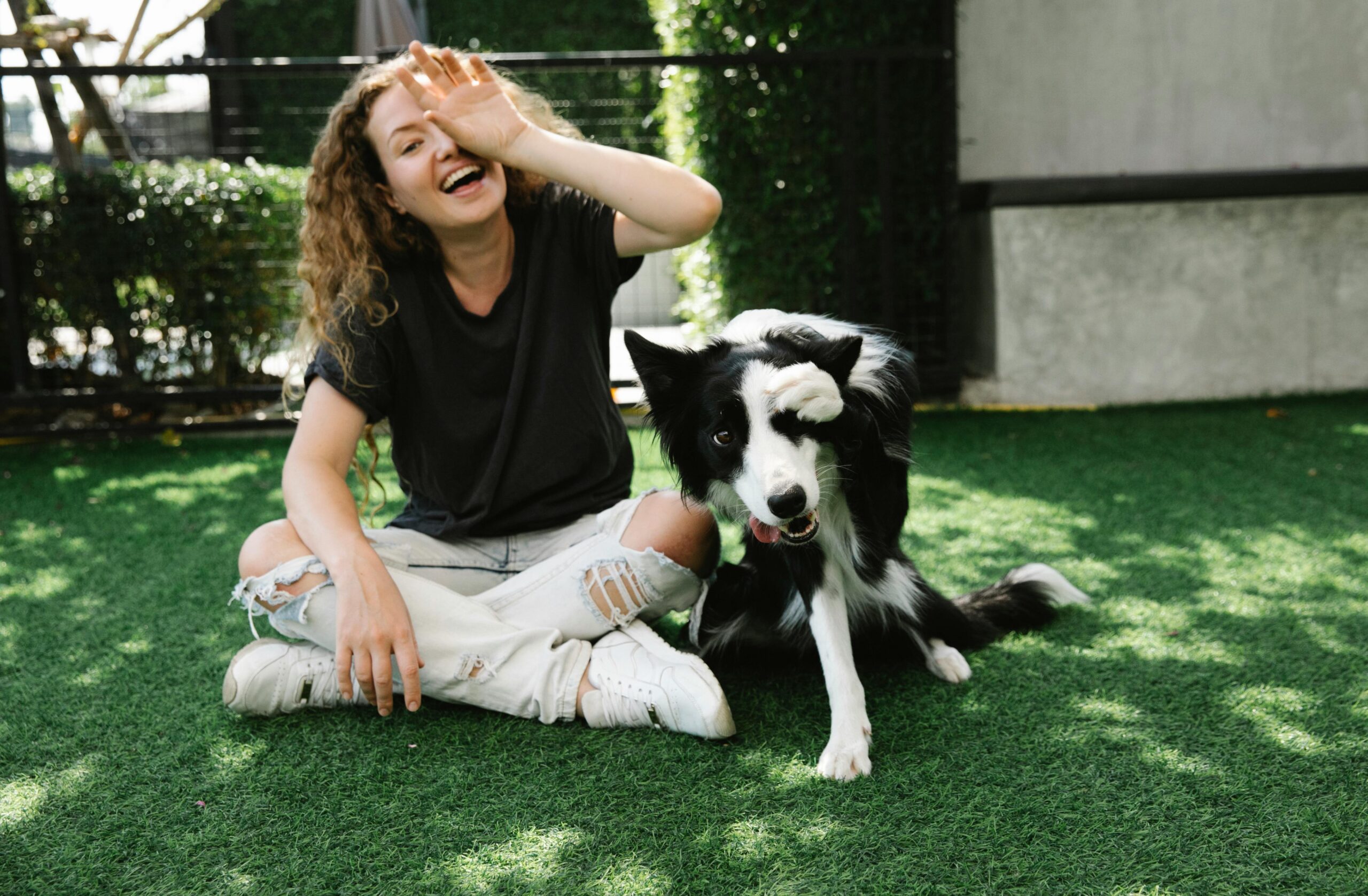 A smiling woman playing fetch with her black-and-white rescue dog, both visibly engaged