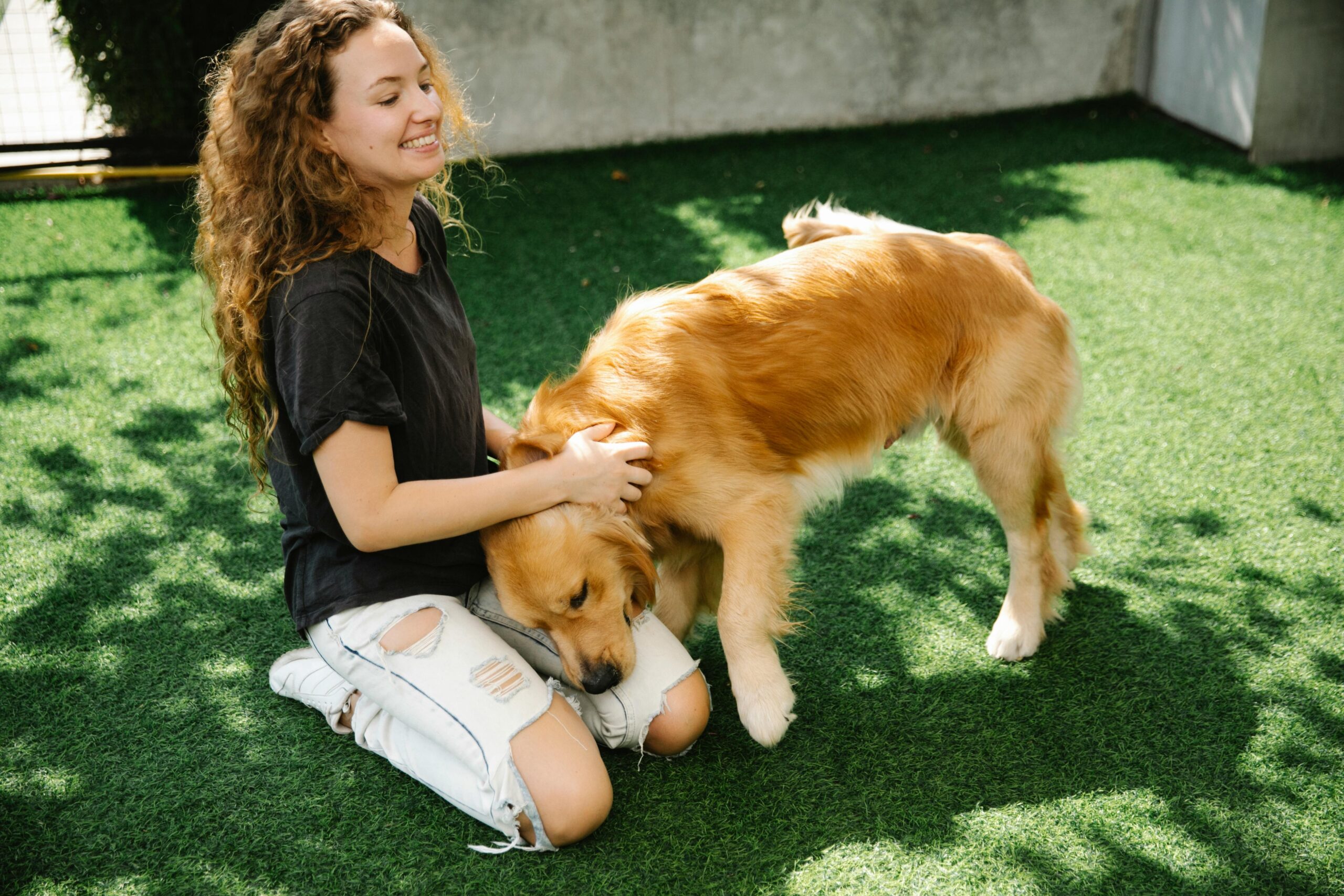 Happy rescue dog successfully completing a scent search task with owner cheering