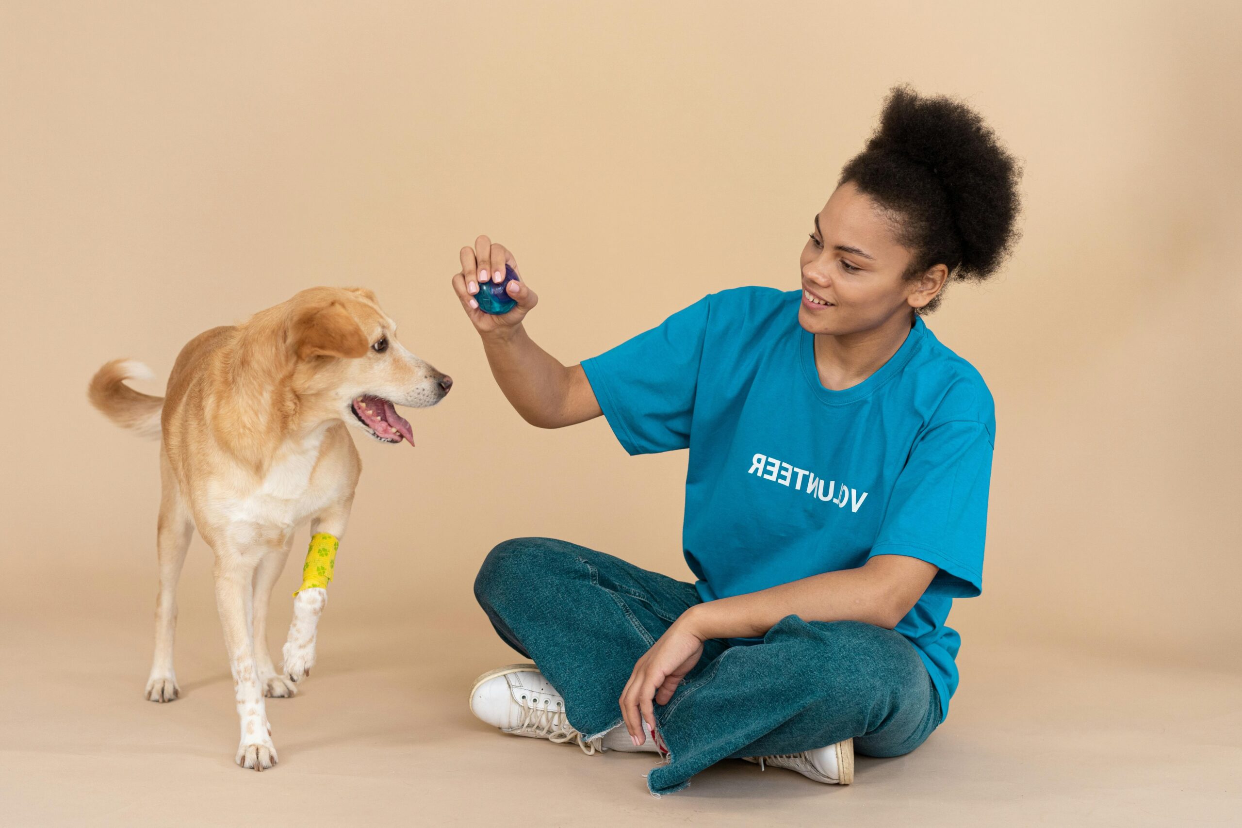 A confident service dog wearing a vest sitting beside its handler