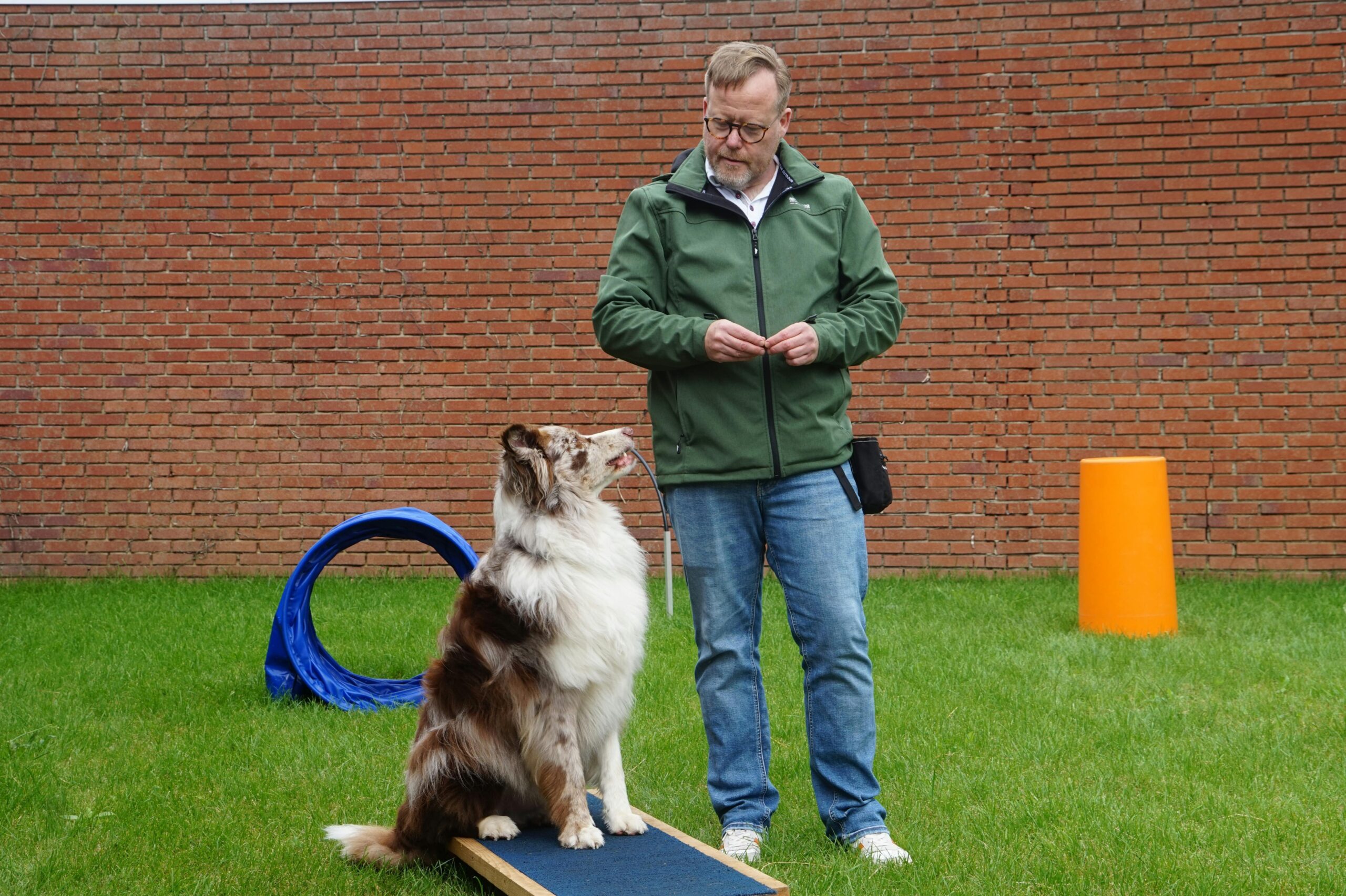 A handler guiding a rescue dog through an agility course