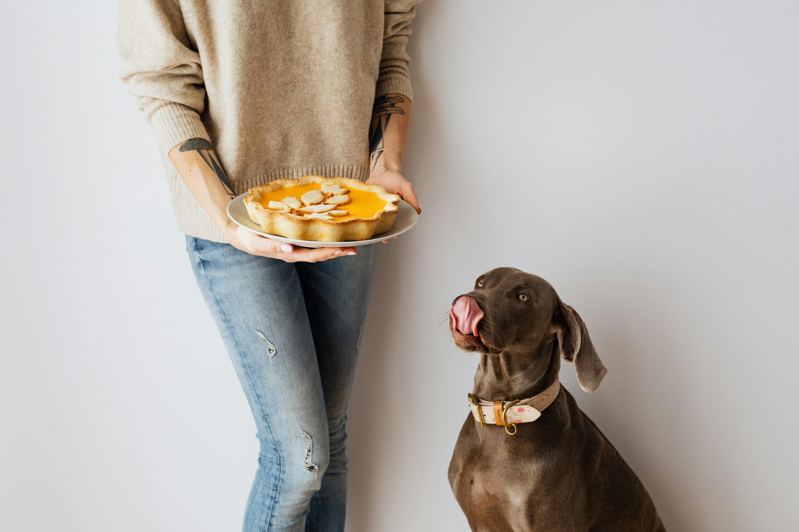 A woman holding treats next to a dog learning to recognize specific scents