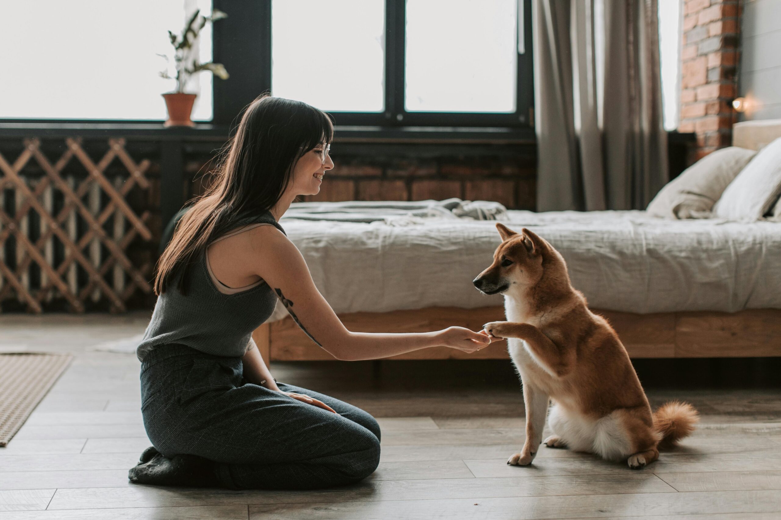 An owner kneeling next to their dog while holding a treat and a scented jar
