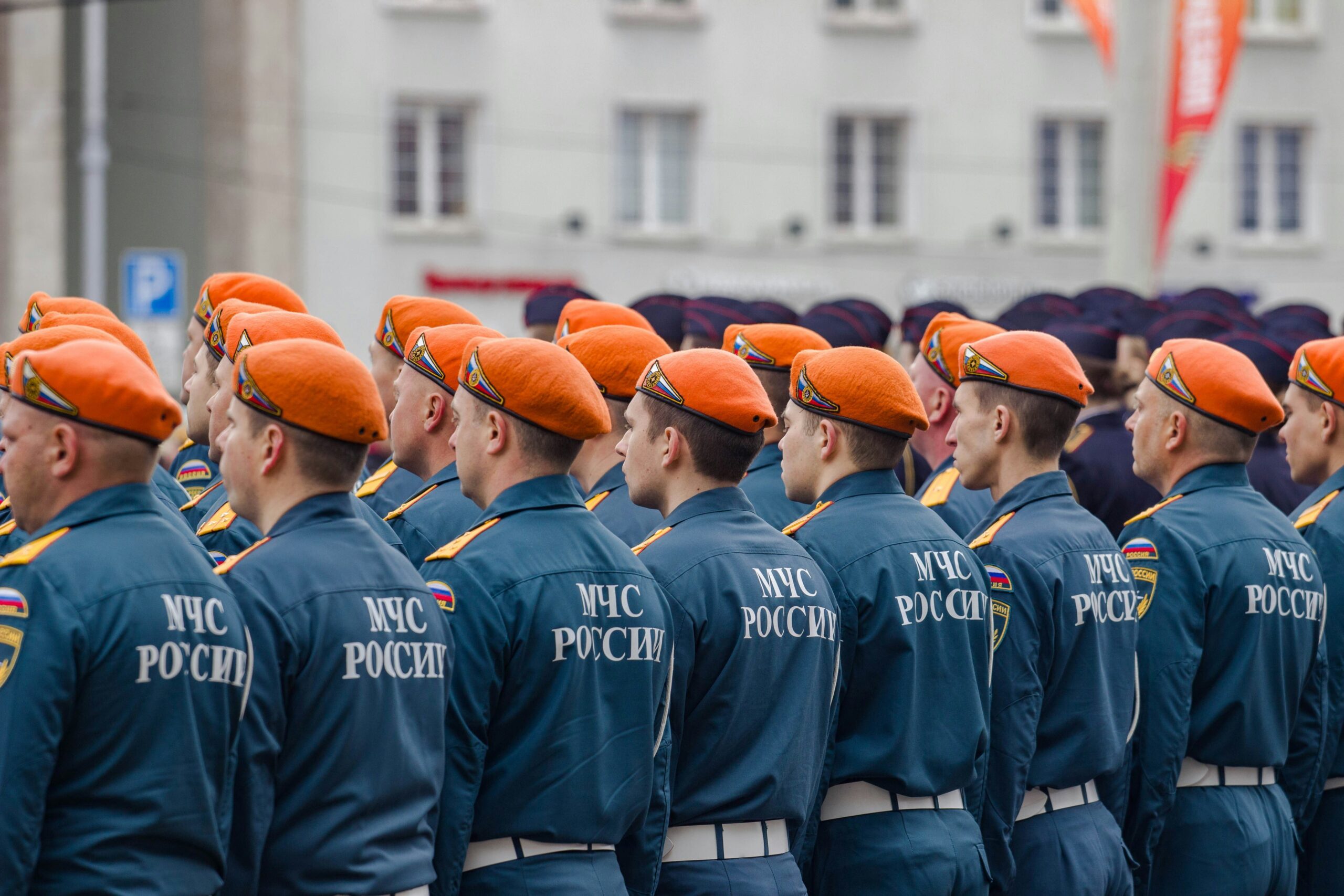 A rescue dog navigating an obstacle course designed for SAR training.