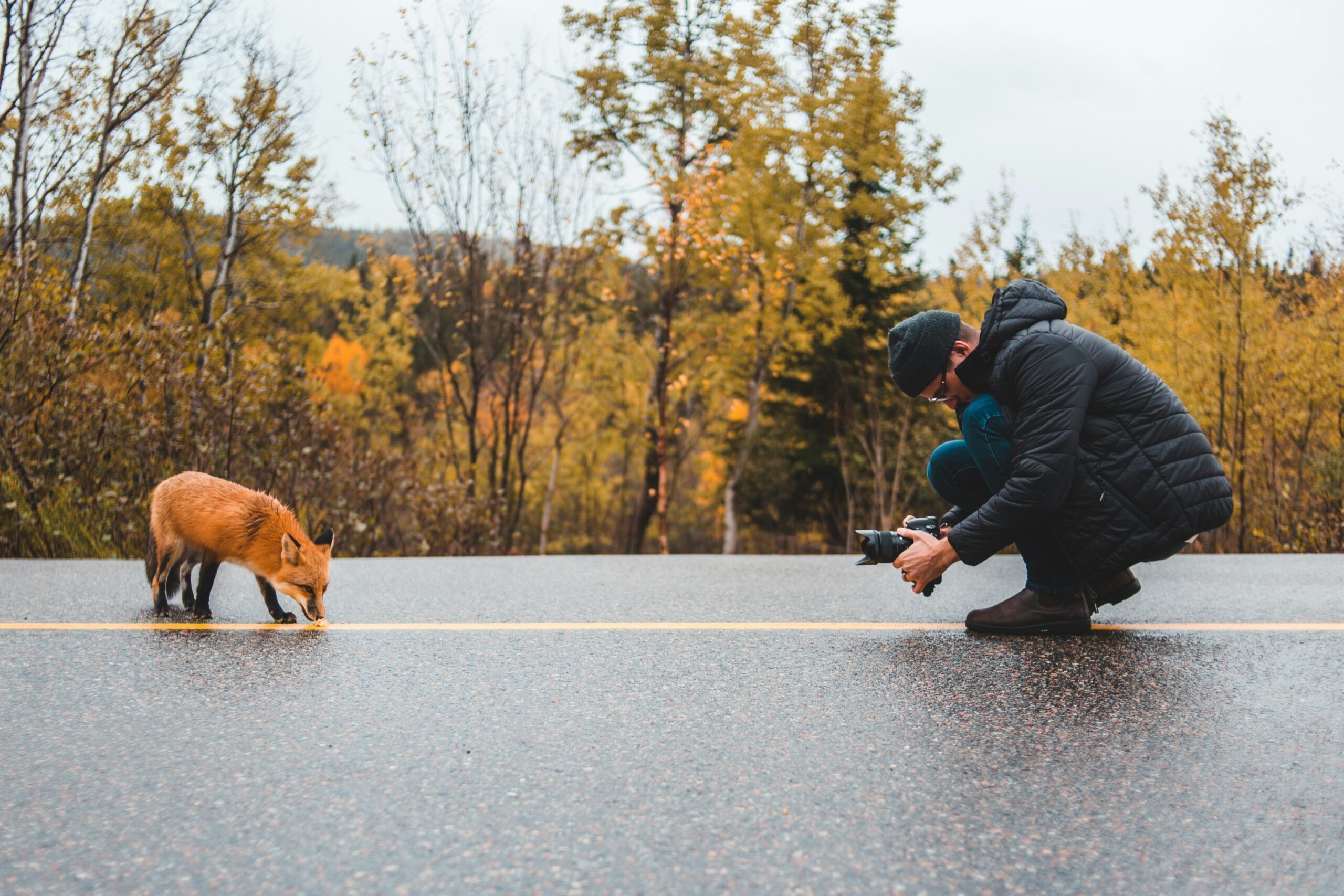 A trainer guiding a dog to find a scented item.