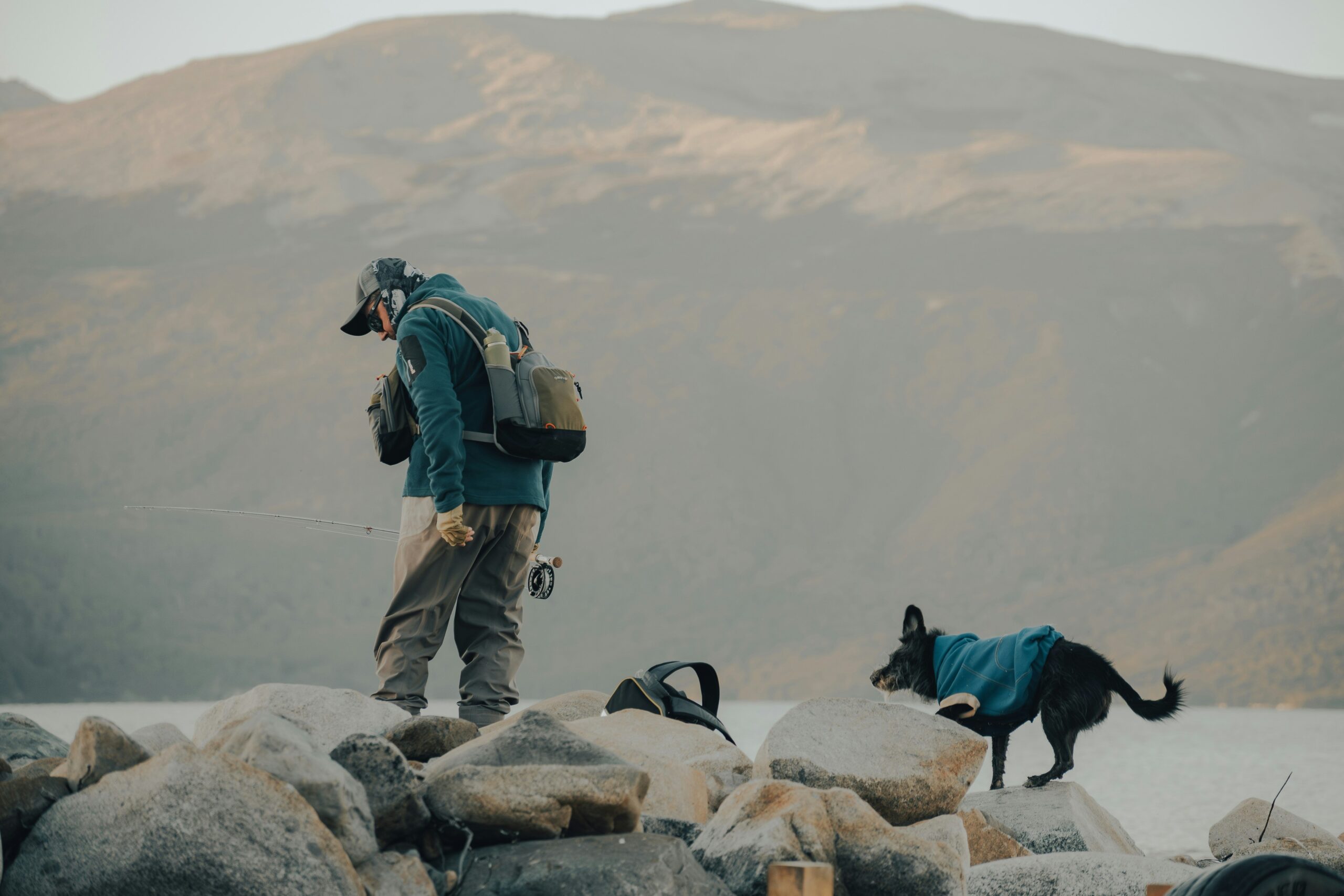 Mastering SAR Team Communication in Rescue Dog Training: A Game-Changer for Success