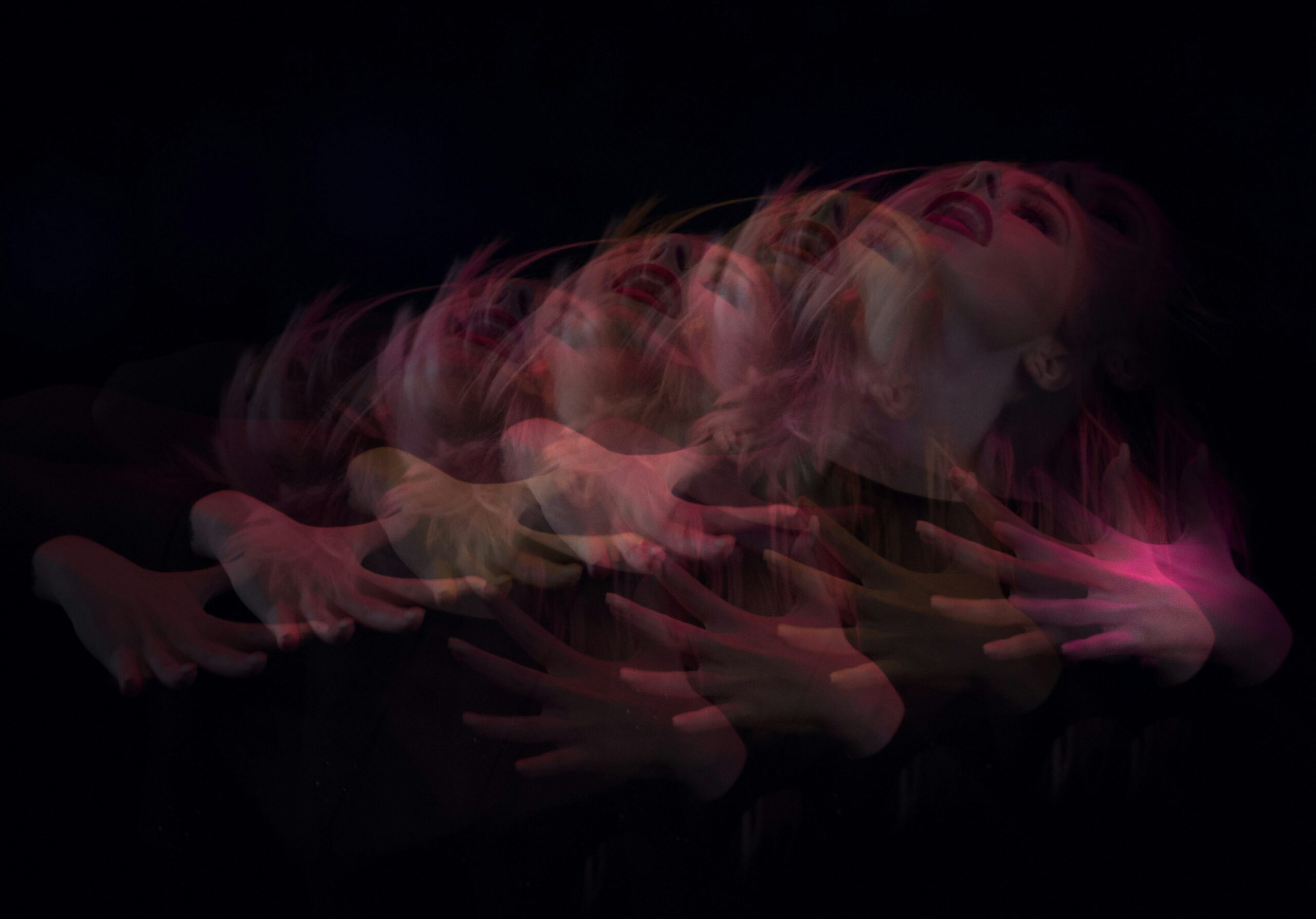 rescue dog sniffing hand