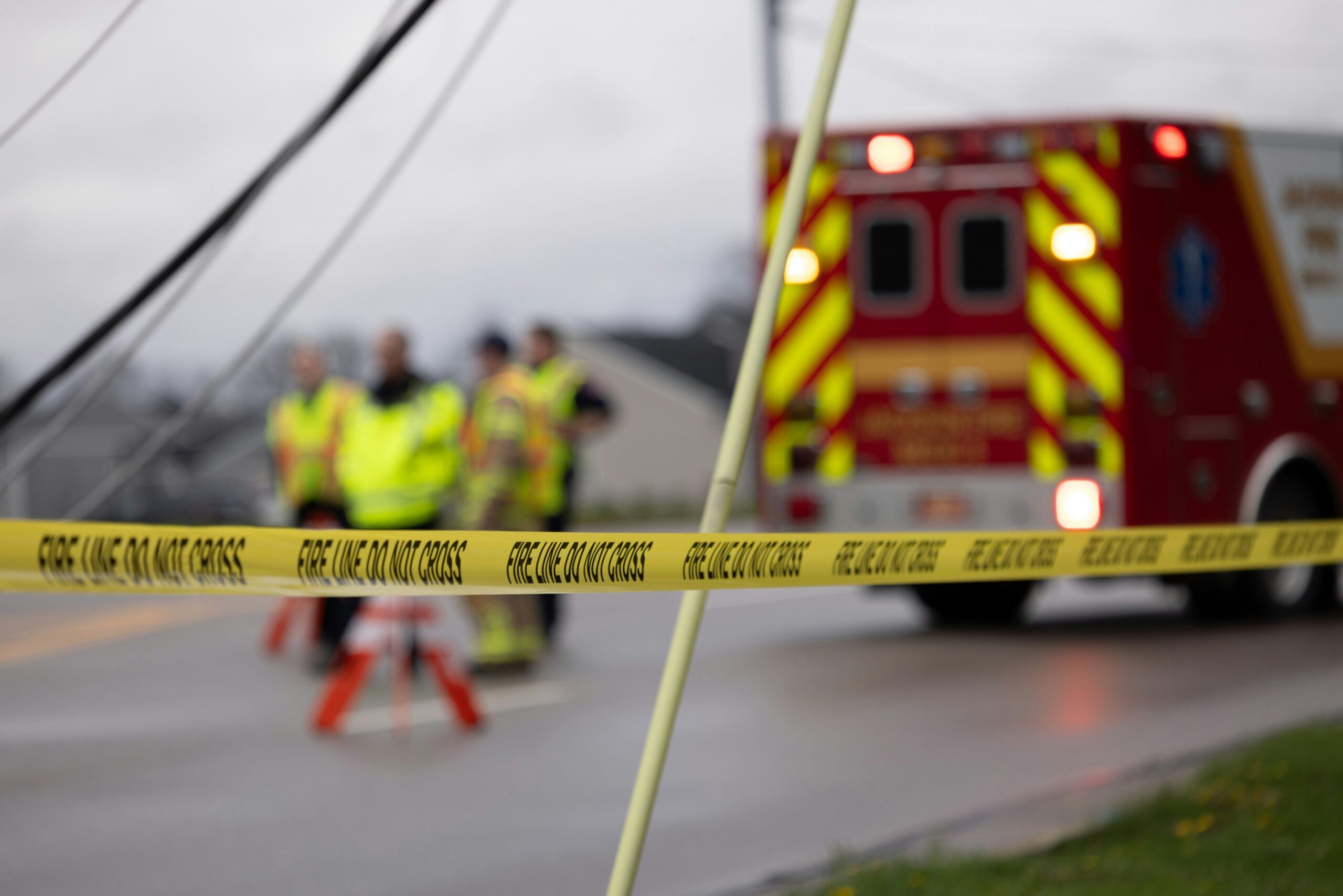 Understanding Team Roles in SAR: How Rescue Dog Training Can Save Lives