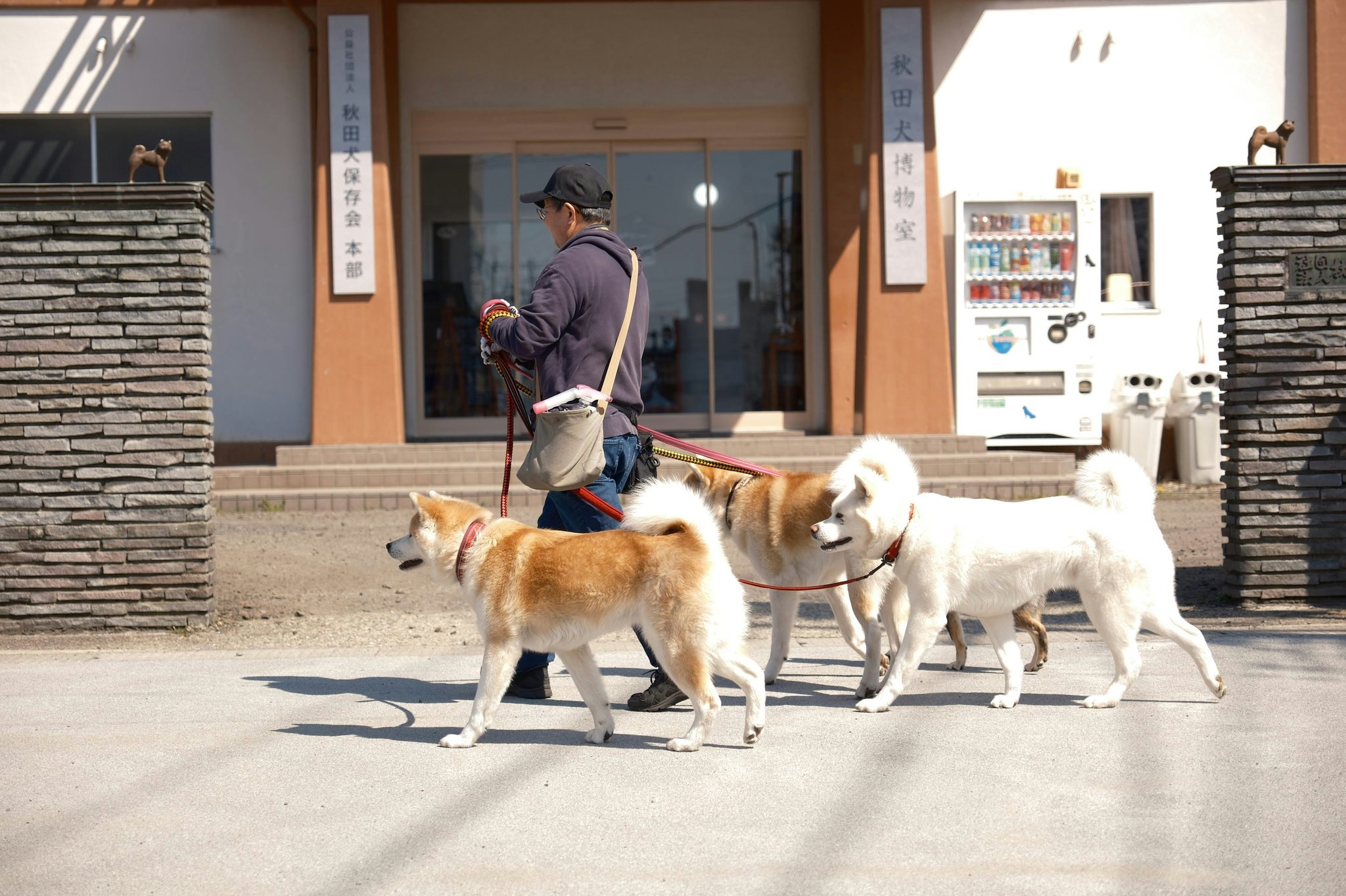 Happy rescue dog sitting calmly beside two smiling trainers.
