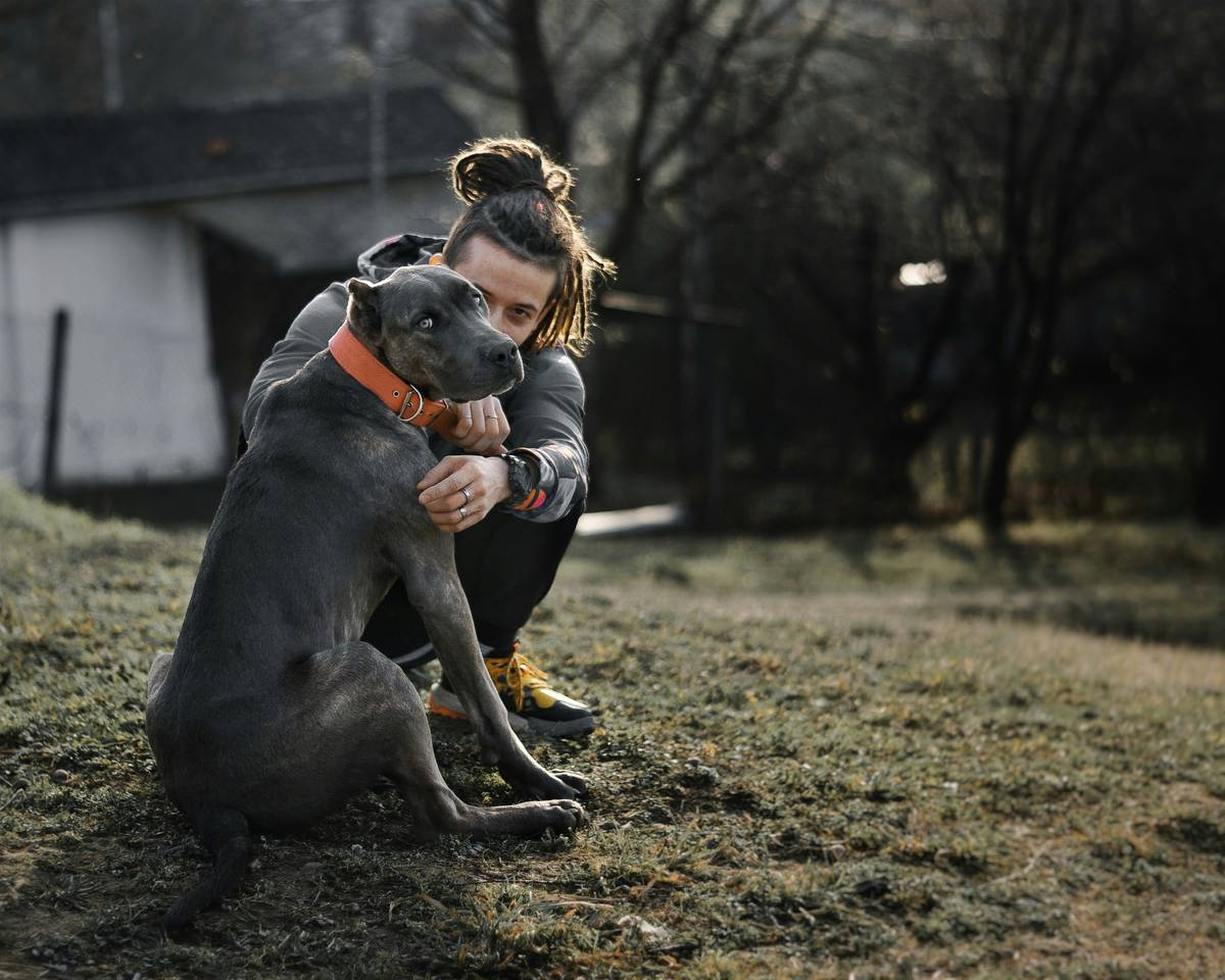 Rescue dog sniffing owner's hand