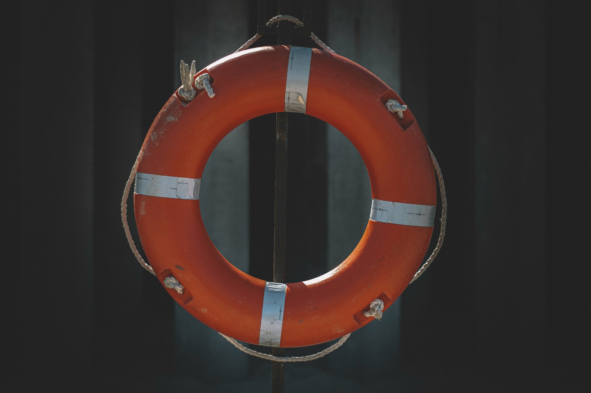 SAR Task Delegation: Mastering Rescue Dog Training Like a Pro