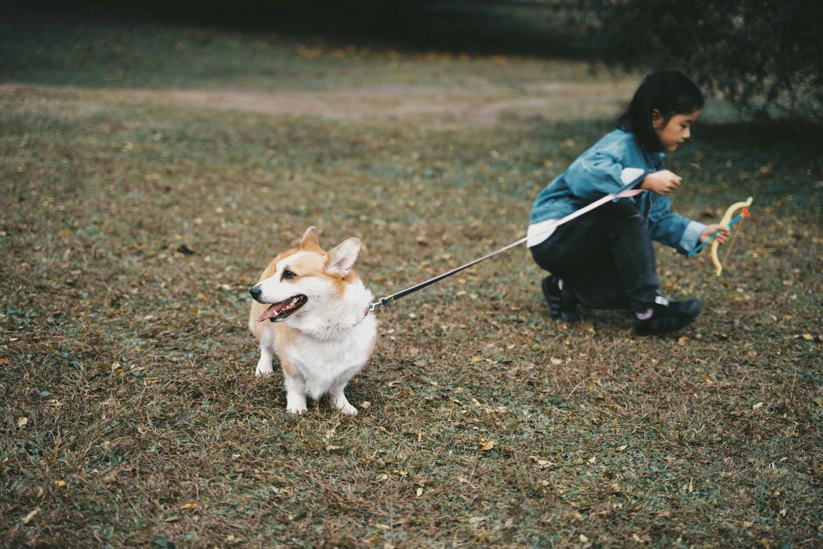 A woman holding a leash, calmly training her rescue dog outdoors.