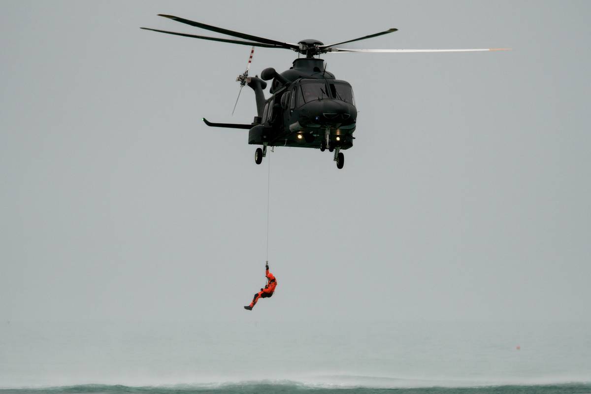 Checklist for tracking rescue dog training progress