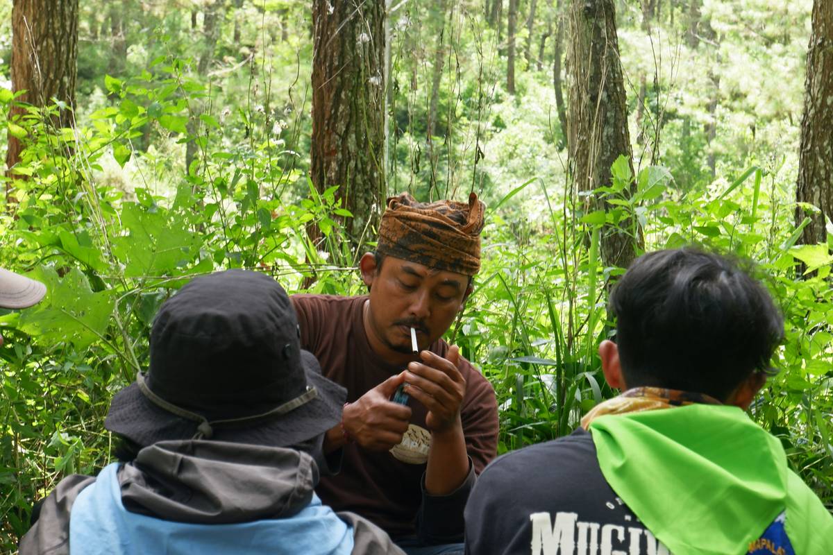 Luna the German Shepherd mid-stride on an agility course obstacle.