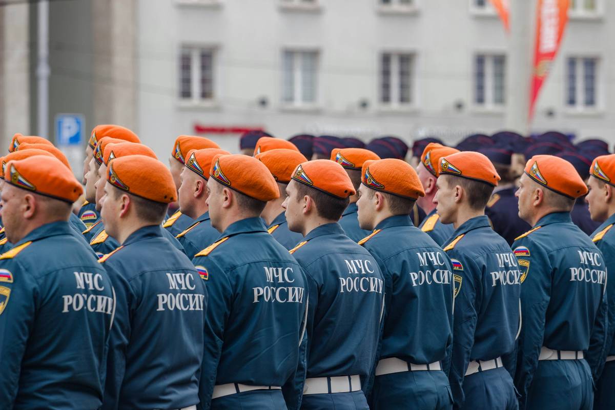 Mastering Rescue Dog Training: How Group SAR Protocols Can Transform Your Approach