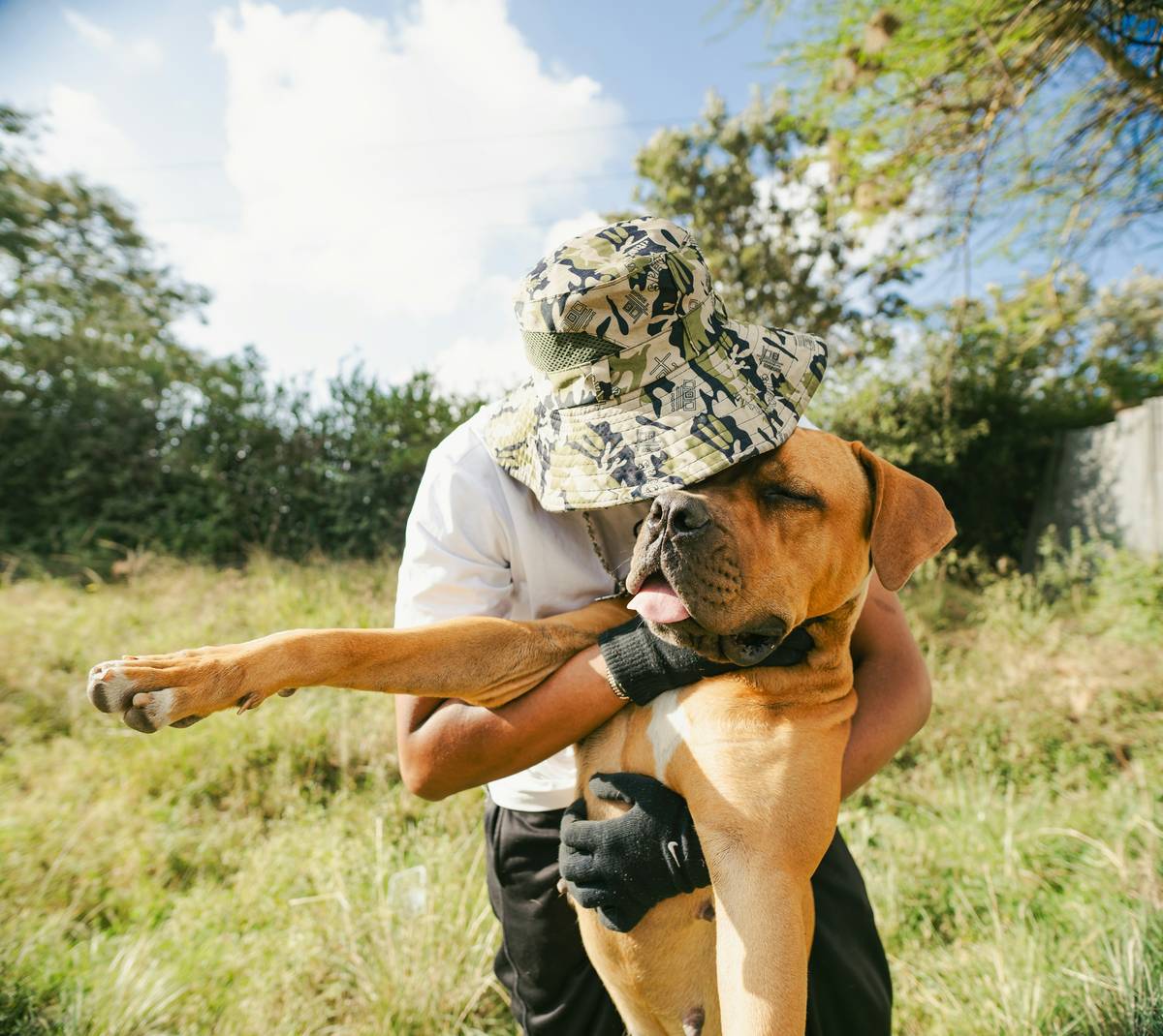 A trainer working with a happy rescue dog outdoors.
