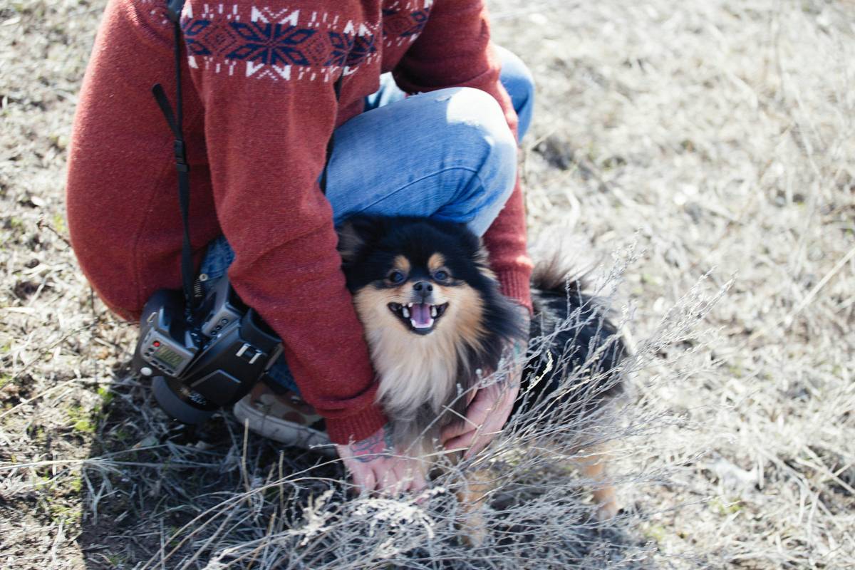 How to Become a Skilled Rescue Dog Handler: Proven Methods and Tips