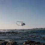 How to Train Rescue Dogs Using Systematic Search Dogs: A Complete Guide